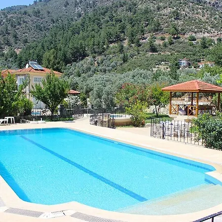Elwyn * Fethiye
