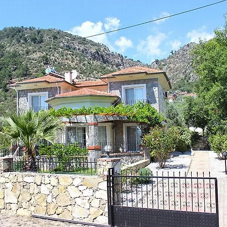 Elwyn Fethiye