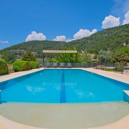 Elwyn * Φετιγιέ