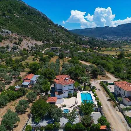 Elwyn * Fethiye