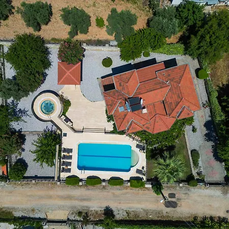 Elwyn Fethiye