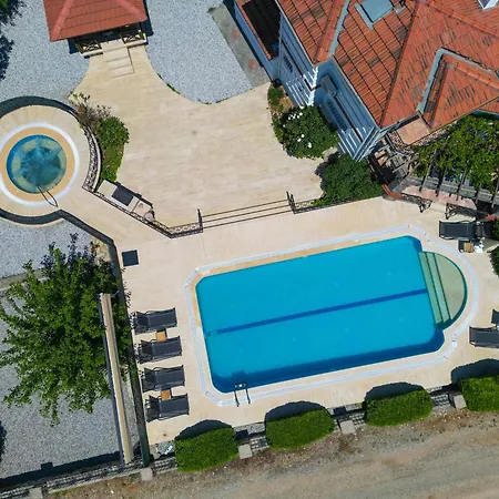 Βίλα Elwyn Φετιγιέ