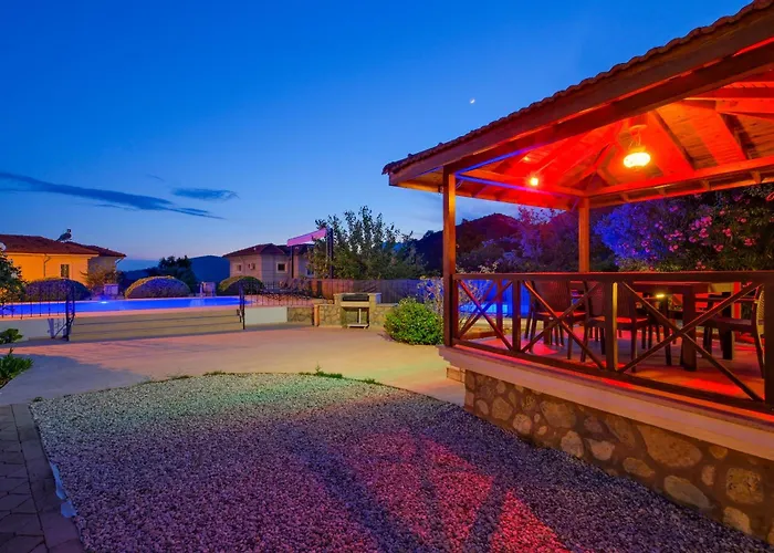 Elwyn 别墅 费特希耶