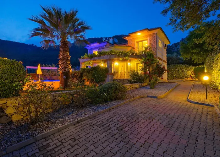 别墅 Elwyn 费特希耶