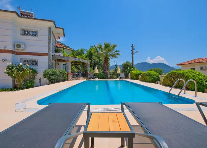 Elwyn 别墅 费特希耶