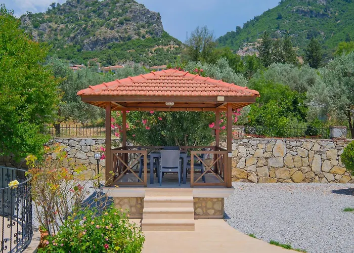 Elwyn 别墅 费特希耶