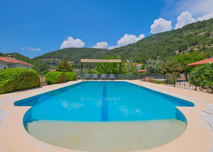 Elwyn * 费特希耶