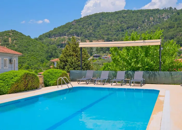 别墅 Elwyn 费特希耶