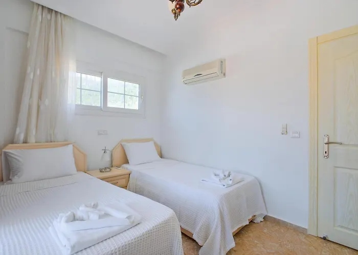 别墅 Elwyn 费特希耶