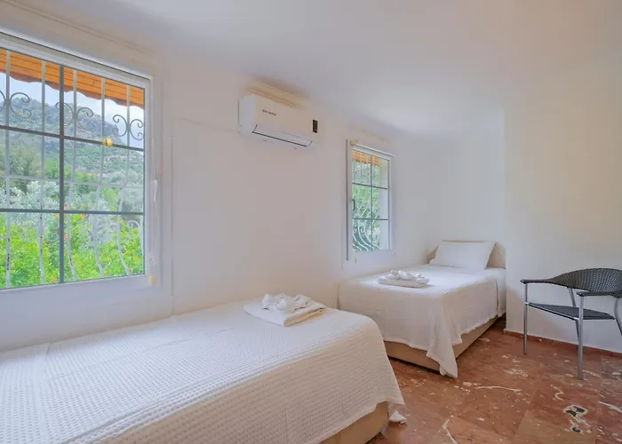 别墅 Elwyn 费特希耶