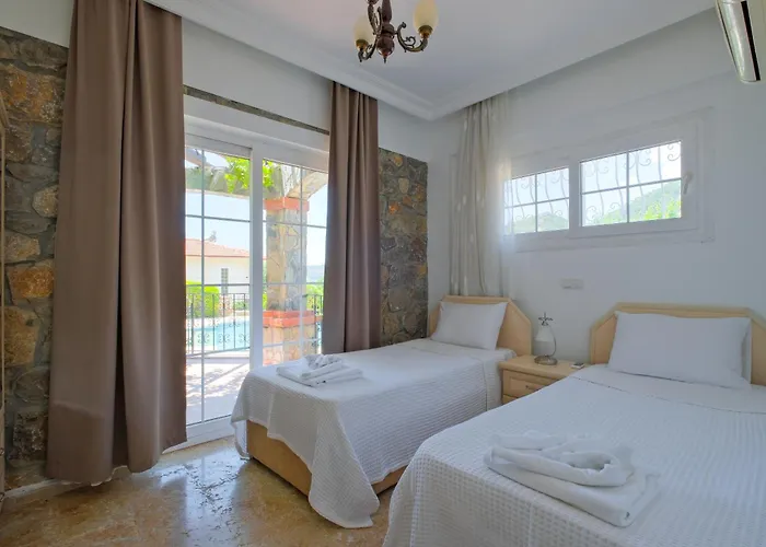 别墅 Elwyn 费特希耶