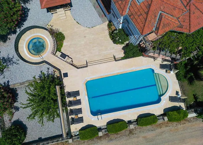 别墅 Elwyn 费特希耶